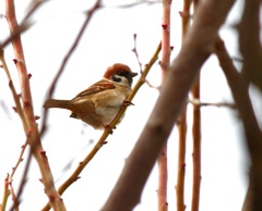 寒いよ～((((*゜▽゜*))))