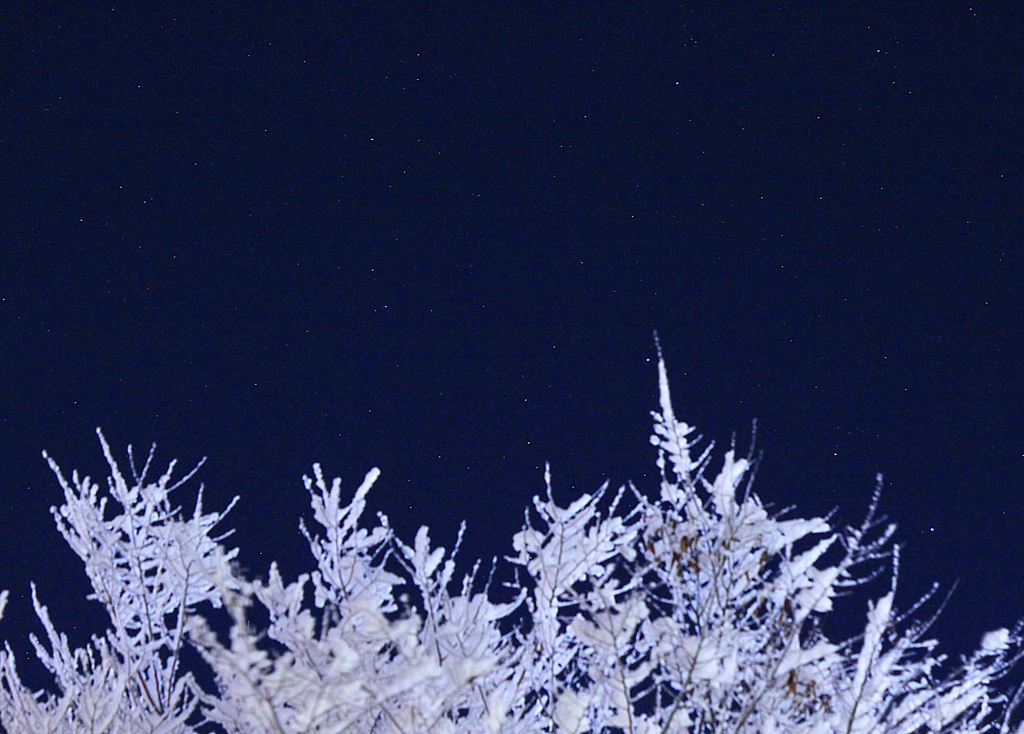 雪の花と星