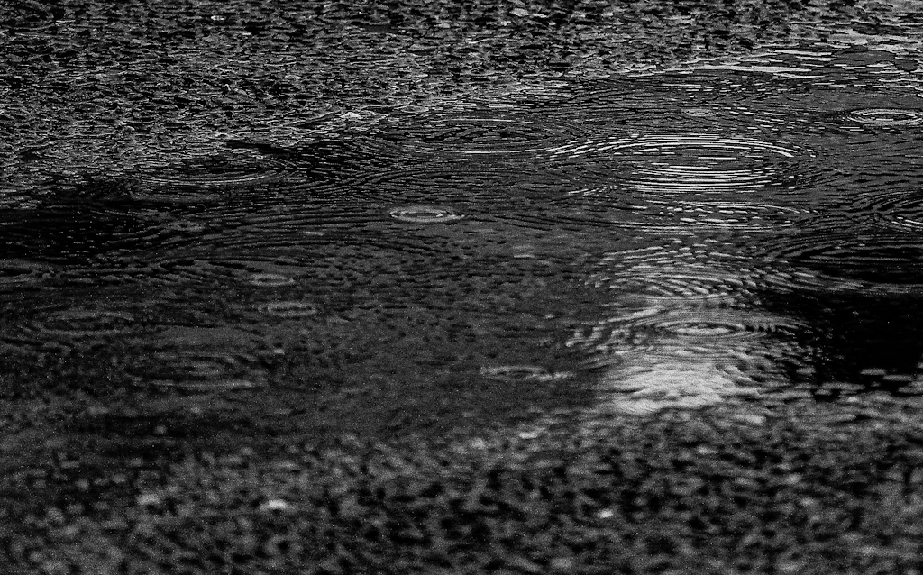 雨滴の波紋