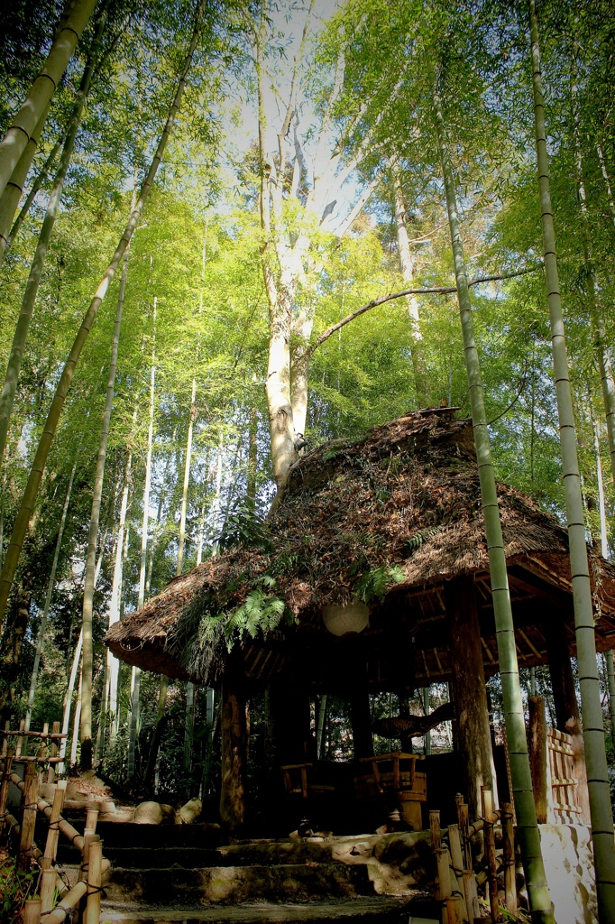 竹林の庵