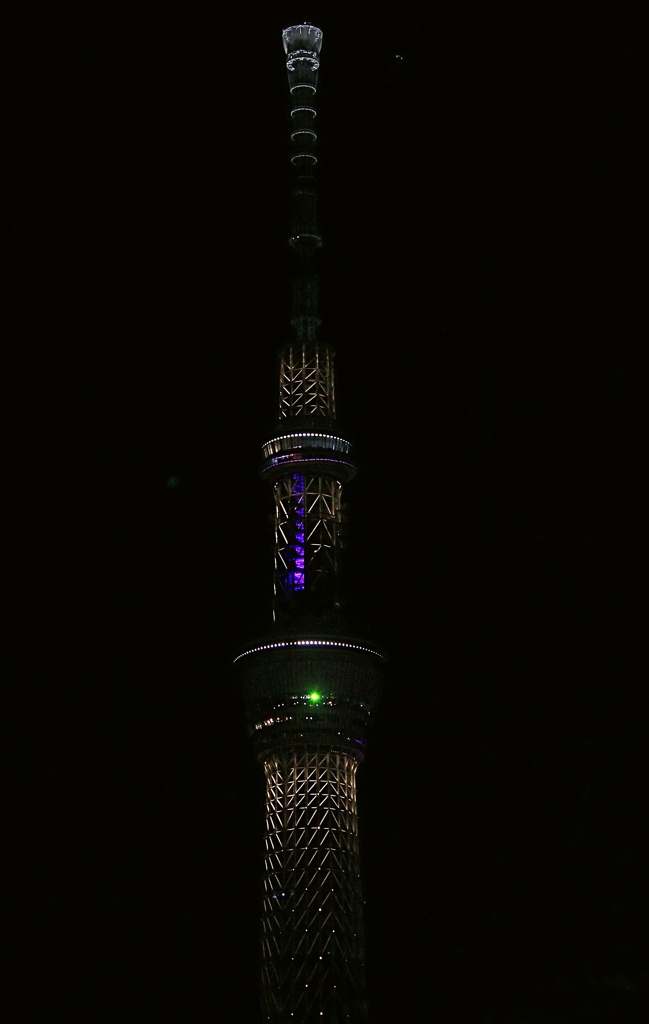近くに見えるスカイツリーは大きいですね。