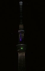 近くに見えるスカイツリーは大きいですね。