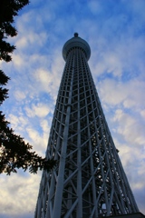 仰いでみれば　2