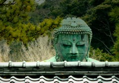 屋根亙越しの大佛様