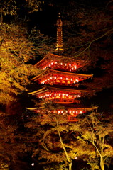 紅葉ライトアップ