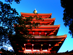 五重塔にもみじ