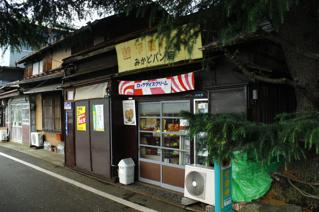 みかどパン店と杉
