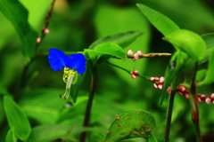 7996D187-951B-402D-9A5A-DBC94F7049C9