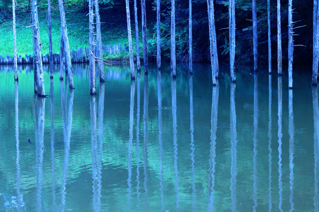 静かな時
