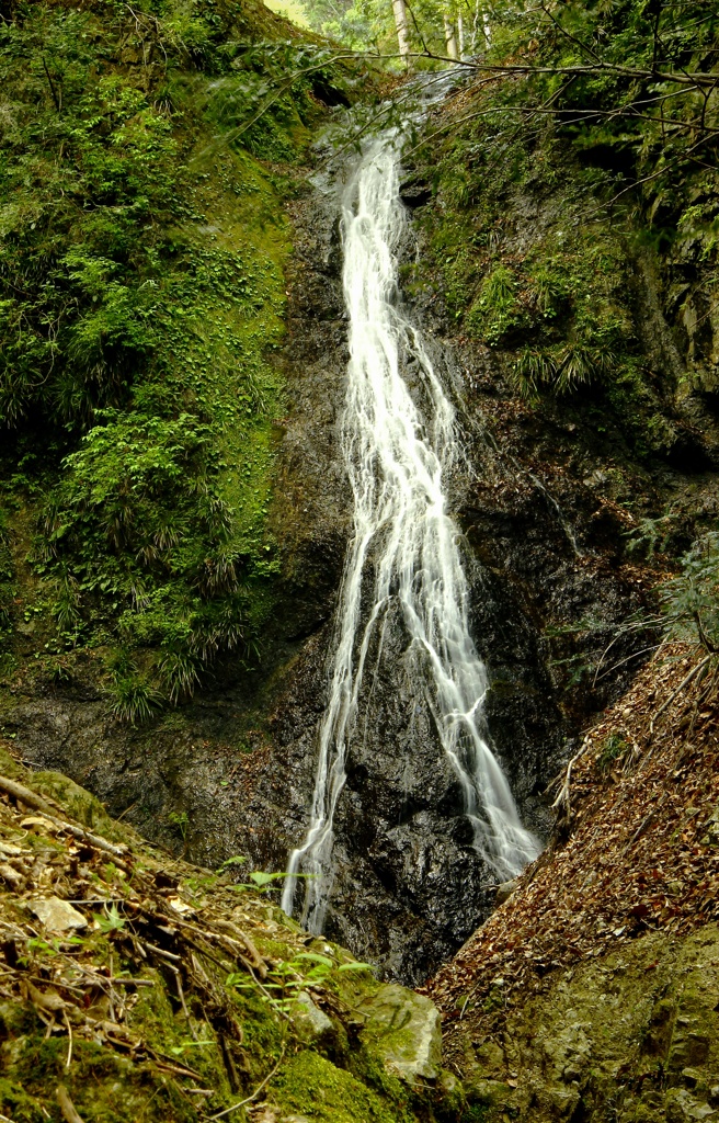 雌滝