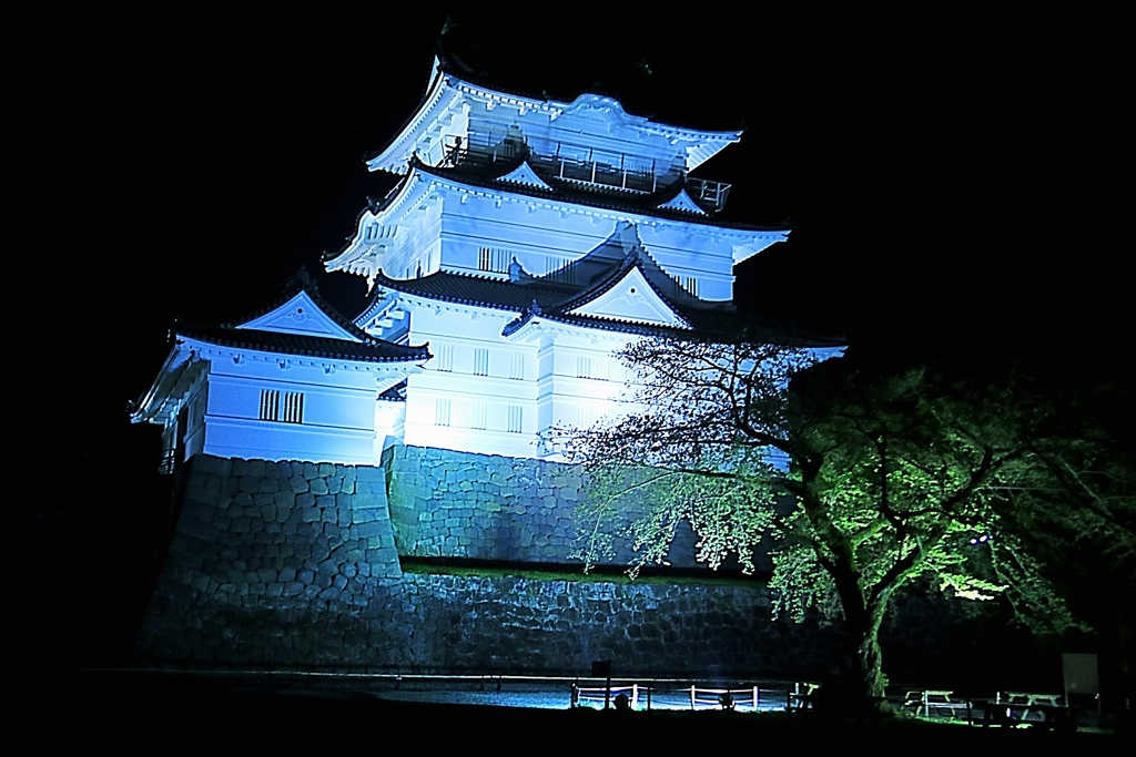 改修工事一周年目の小田原城