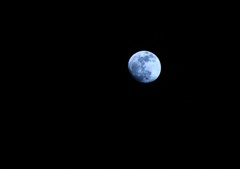 昨夜の月
