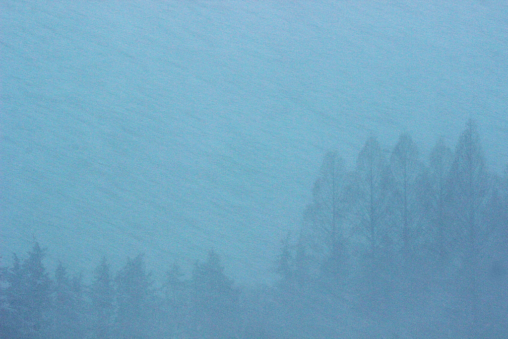 夏なのに何故吹雪？