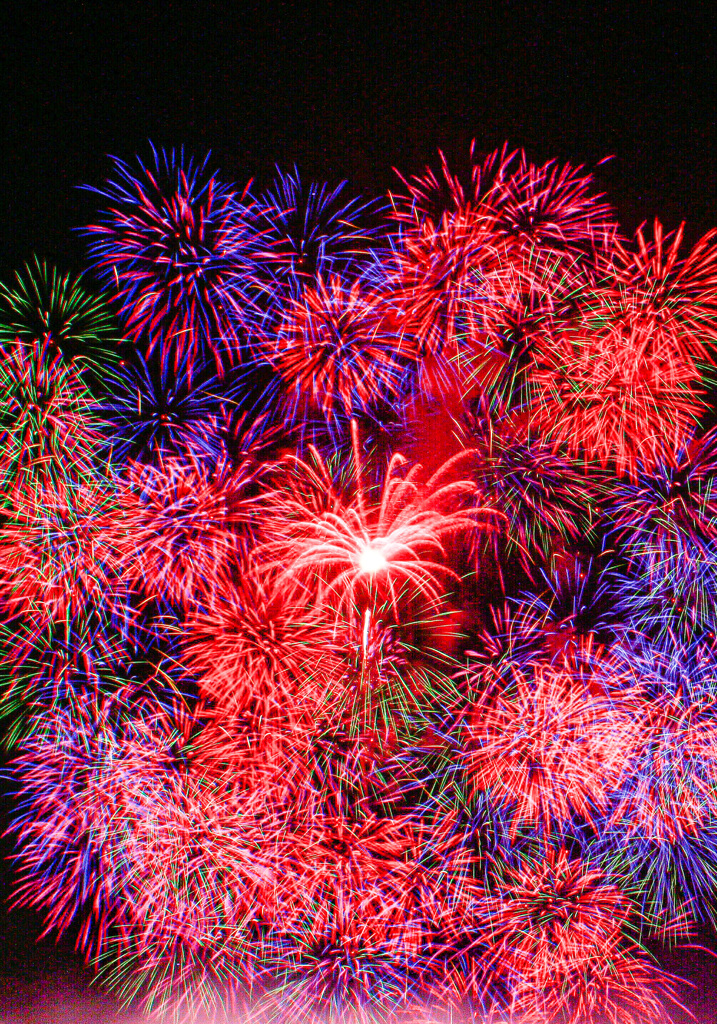 今年は観られませんね。