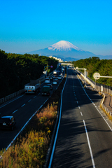 冨士山に続く道