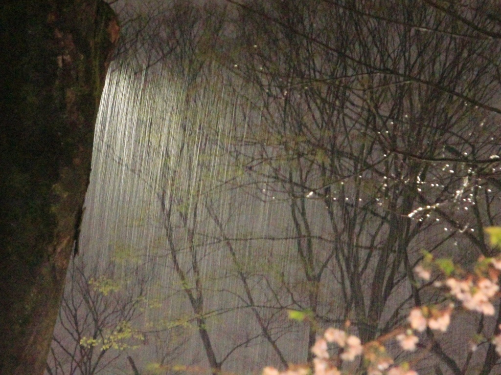 夜の雨