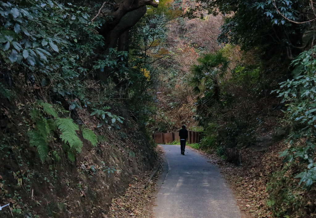 もののふ達の幹道