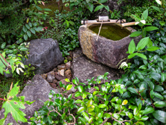 つくばいのある風景