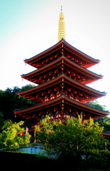 高幡不動五重塔