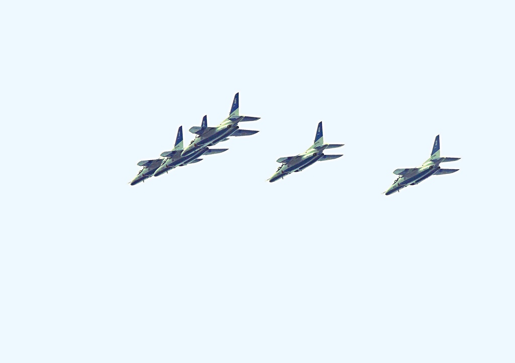 真上を飛んでくれました。