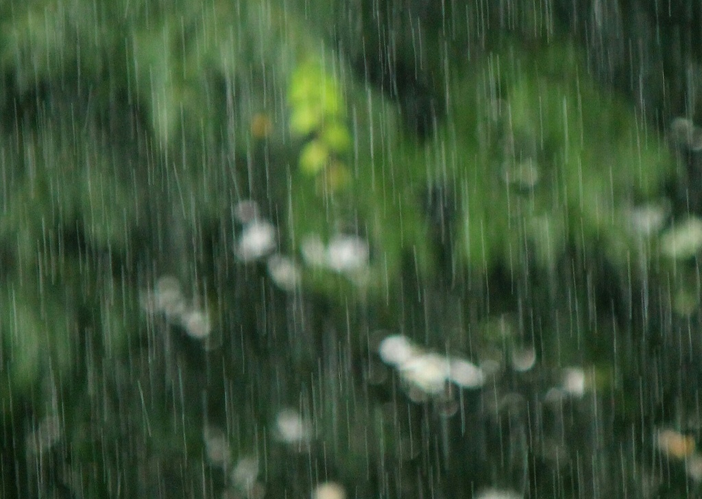 雨　2