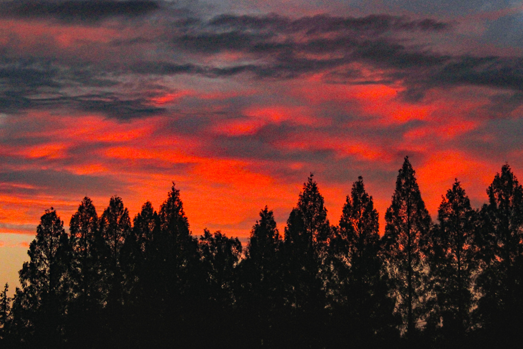 夕影