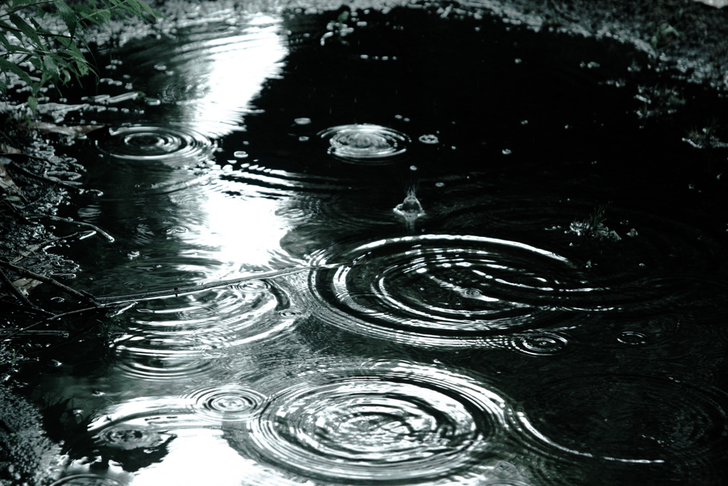 雨