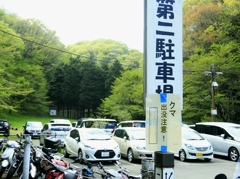 クマ出没注意((((*゜▽゜*)))