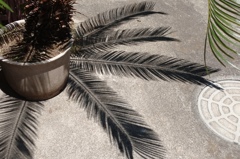 描いたような影