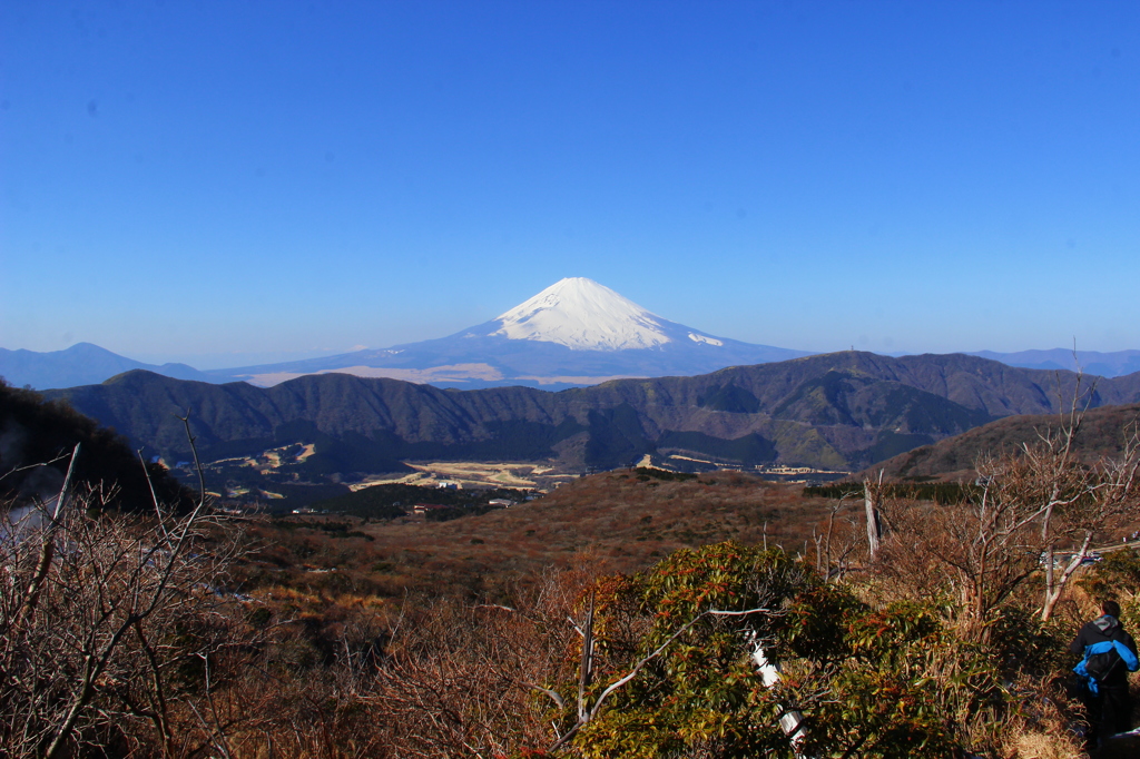 富士を仰ぎ見る(少し前のシリーズ)大涌谷