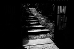 光と陰