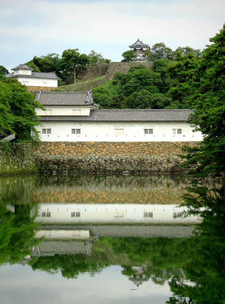 金亀城いろは松よりの眺め