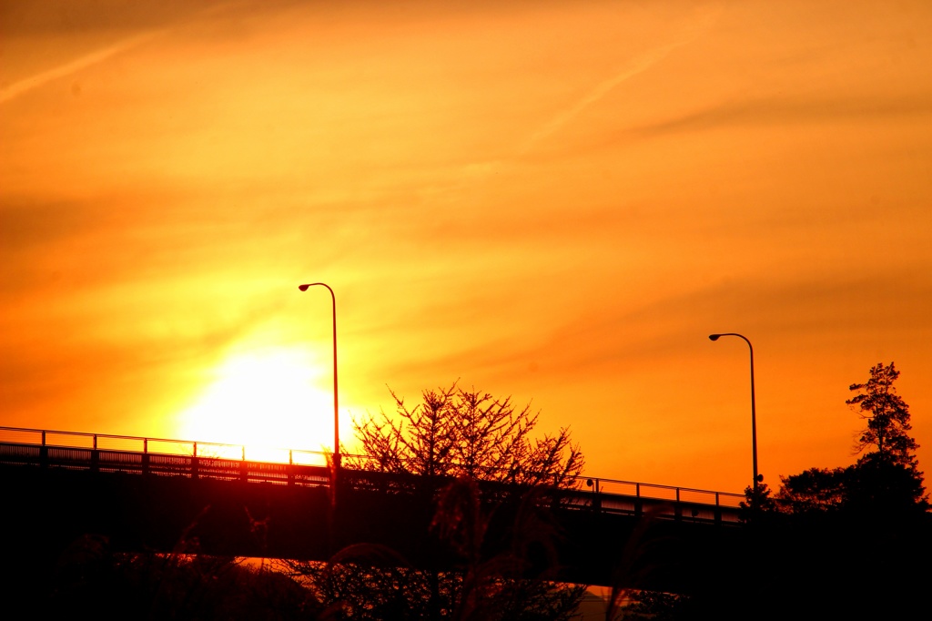 SUN SET