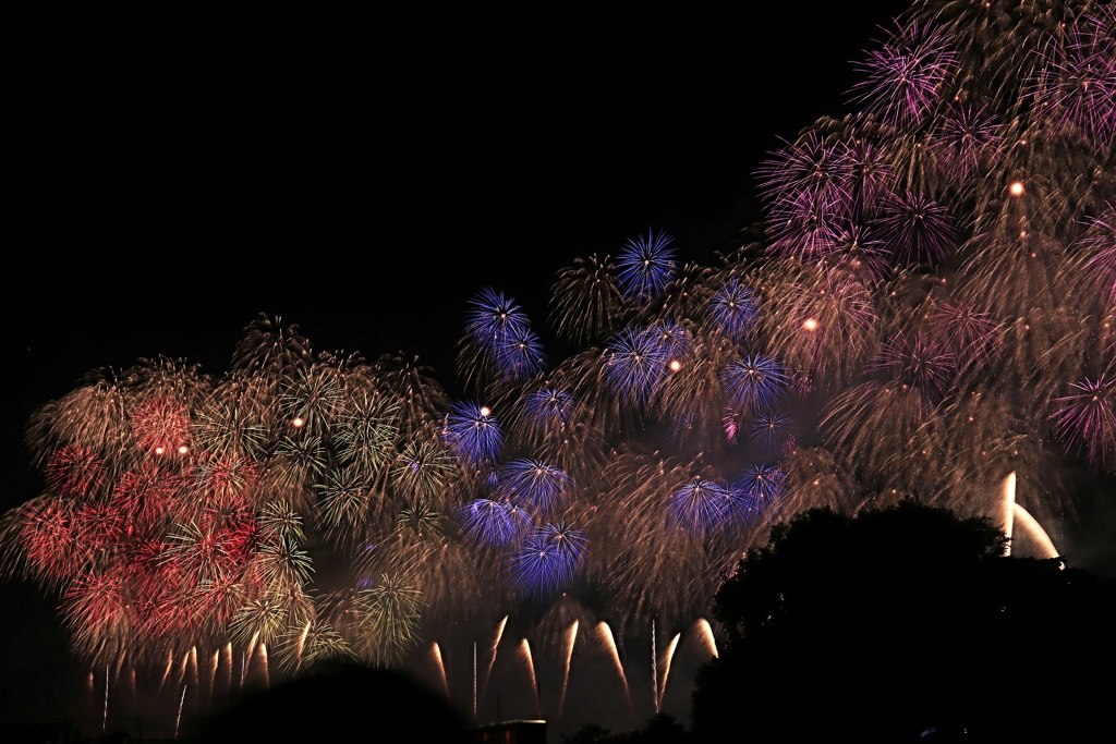 フェニックス(新潟地震復興発火)5　千輪菊