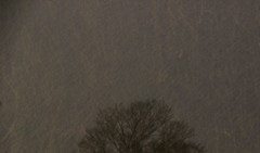 雪が舞う