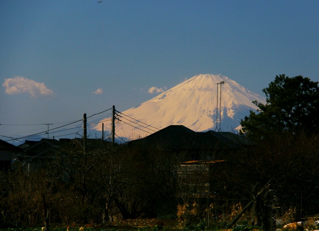 大富士小富士