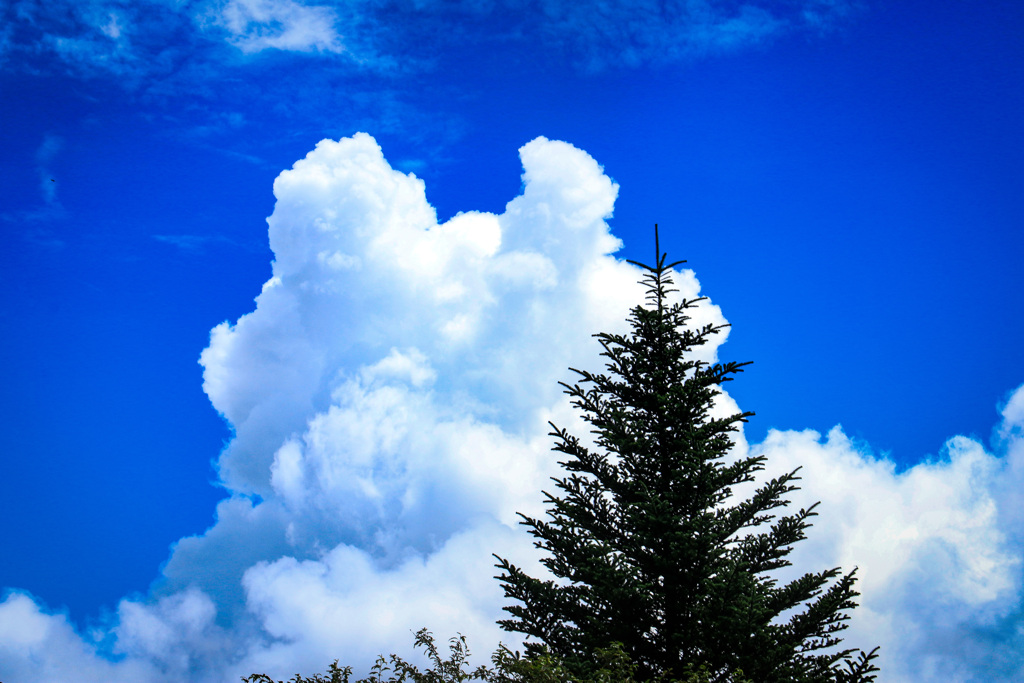 何かに見えそうな雲