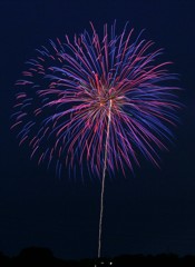 夜空の華