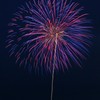 夜空の華