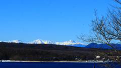 雪を頂いた八ヶ岳連峰