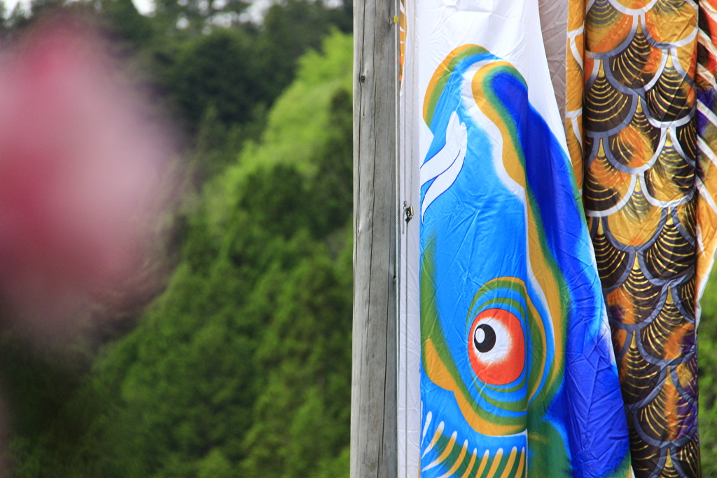 風を吹くのをまって