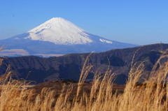 大涌谷より見る。