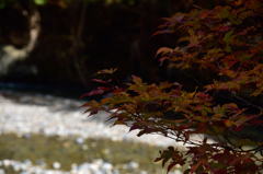 せせらぎ街道１