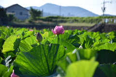 再会