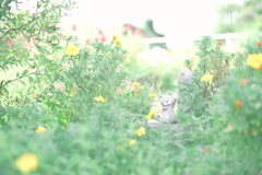 小さな世界の守り手