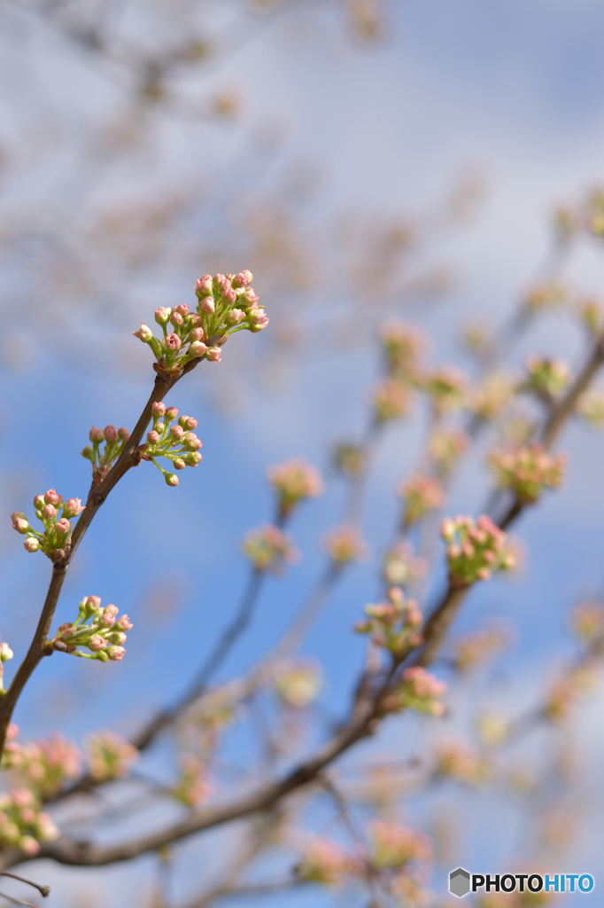 Spring has come.