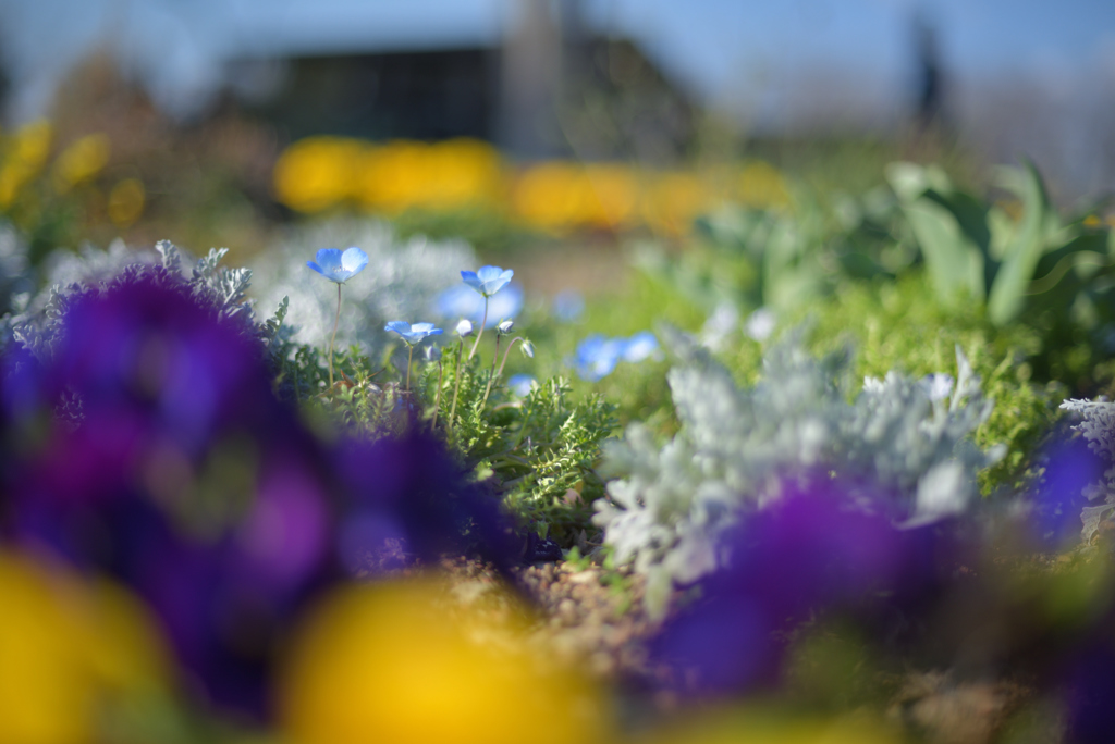 やさしさに包まれたなら