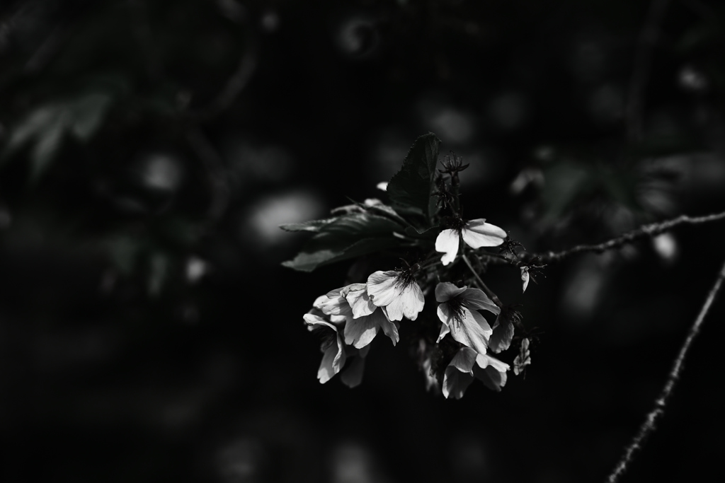 時 ～とき～