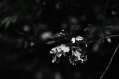 時 ～とき～