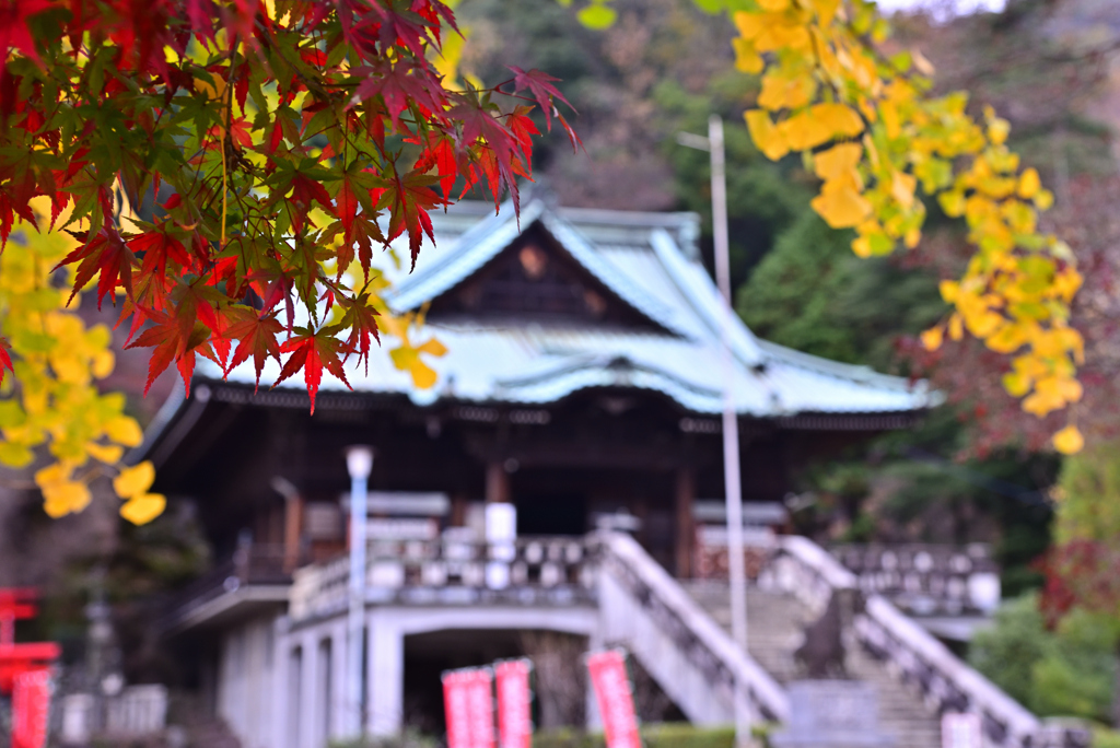 貞照寺